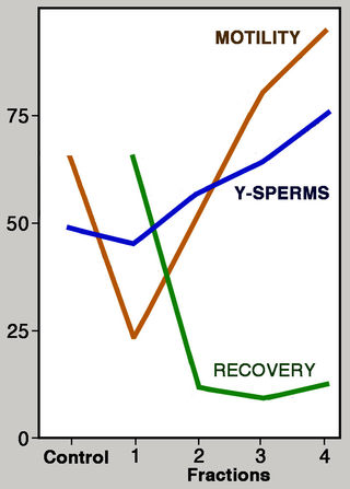 sperm carrying y chromosome Sperm carrying y chromosome